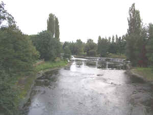 dcp00656.jpg (46261 octets)